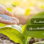 سماد عالي الفسفور​