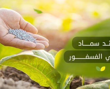 سماد عالي الفسفور​