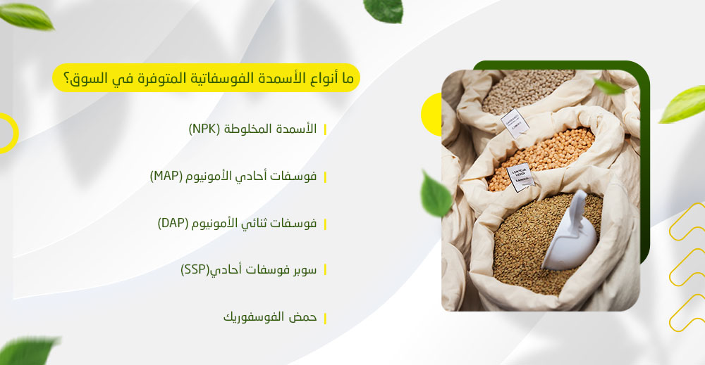 ما أنواع الأسمدة الفوسفاتية المتوفرة في السوق؟