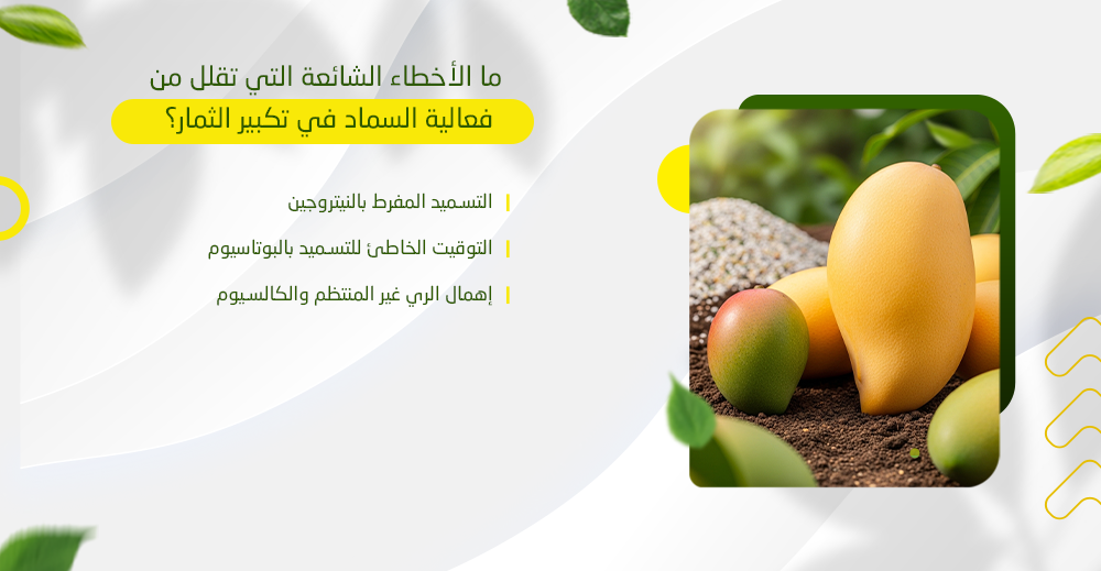 ما الأخطاء الشائعة التي تقلل من فعالية السماد في تكبير الثمار؟