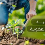 أهمية الزراعة العضوية