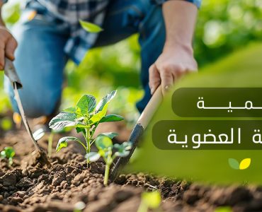 أهمية الزراعة العضوية