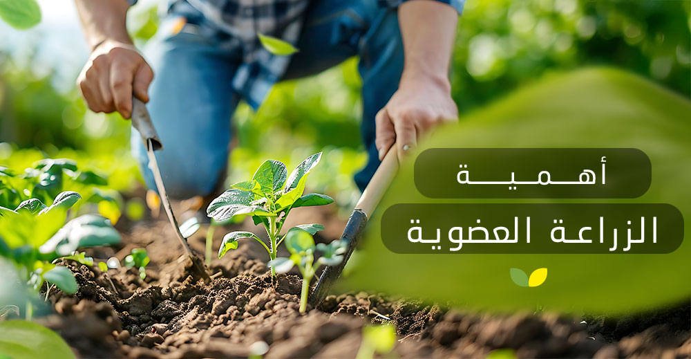 أهمية الزراعة العضوية