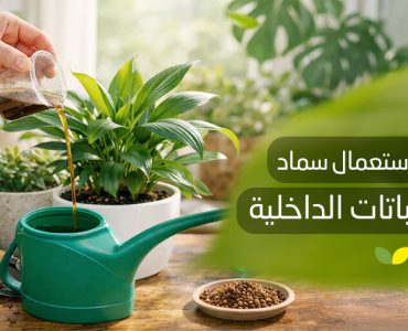 طريقة استعمال سماد سائل للنباتات الداخلية​