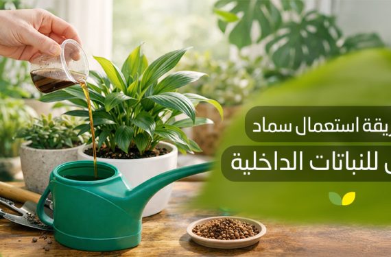 طريقة استعمال سماد سائل للنباتات الداخلية​