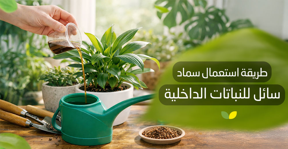 طريقة استعمال سماد سائل للنباتات الداخلية​