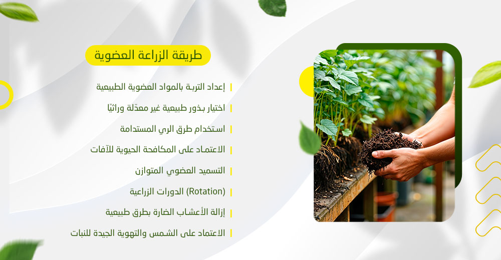 طريقة الزراعة العضوية