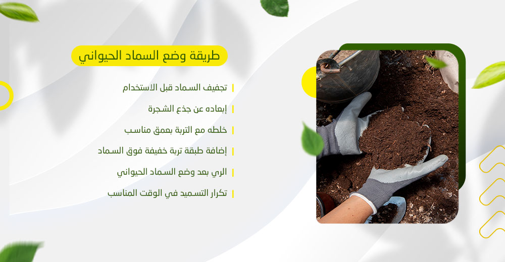 طريقة وضع السماد الحيواني