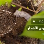 طريقة وضع السماد العضوي للأشجار 