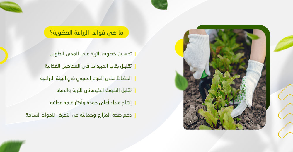 ما هي فوائد الزراعة العضوية؟