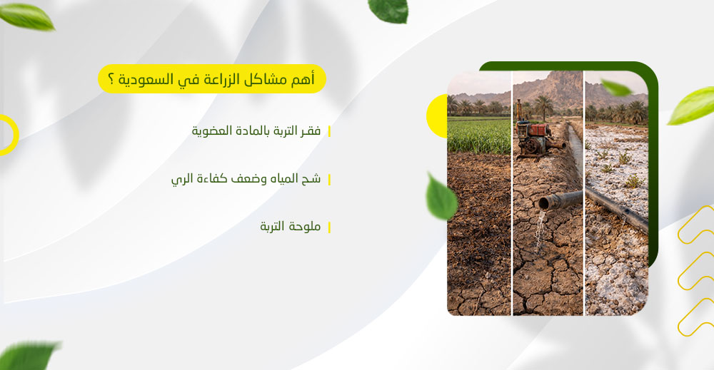 أهم مشاكل الزراعة في السعودية