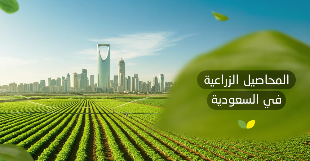 المحاصيل الزراعية في السعودية