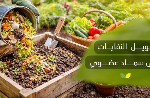تحويل النفايات الى سماد عضوي​