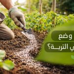 كيفية وضع السماد في التربة