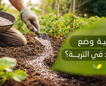 كيفية وضع السماد في التربة