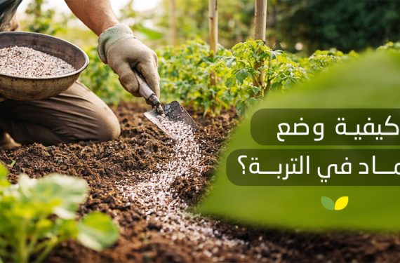 كيفية وضع السماد في التربة