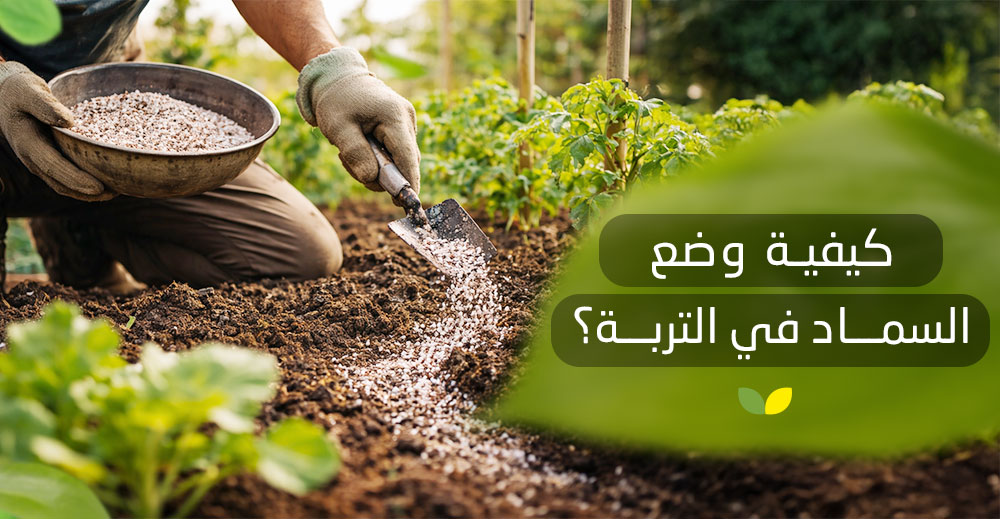 كيفية وضع السماد في التربة