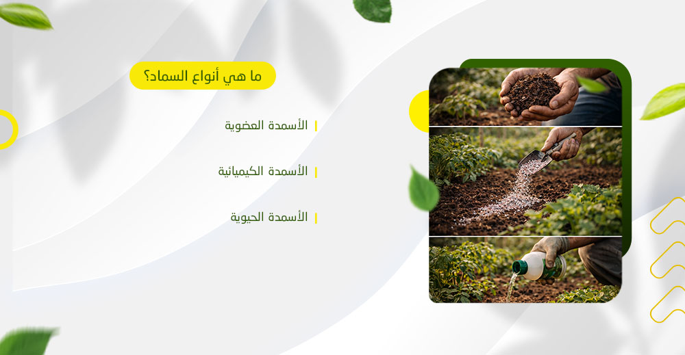 ما هي أنواع السماد