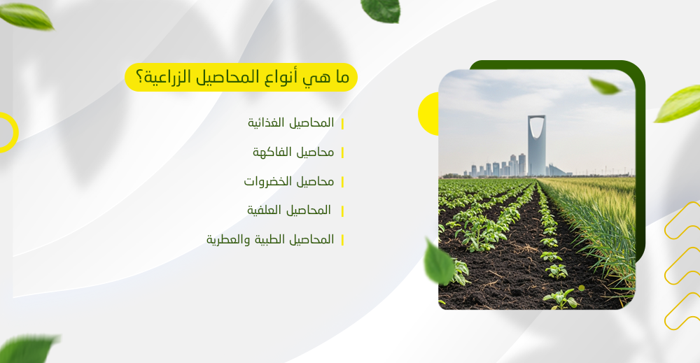 ما هي أنواع المحاصيل الزراعية؟