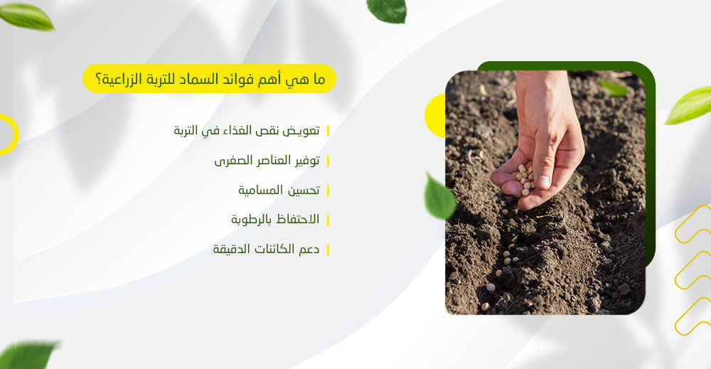 ما هي أهم فوائد السماد للتربة الزراعية