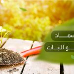 أفضل سماد لتسريع نمو النبات
