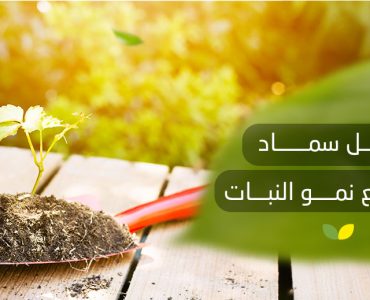 أفضل سماد لتسريع نمو النبات