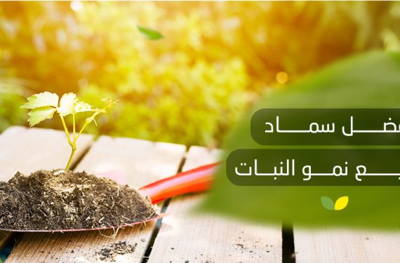 أفضل سماد لتسريع نمو النبات