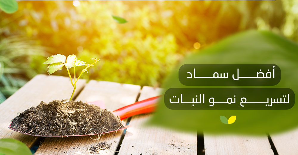 أفضل سماد لتسريع نمو النبات