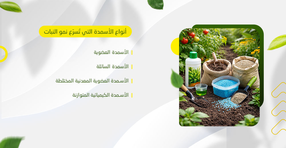 أنواع الأسمدة التي تسرع نمو النبات