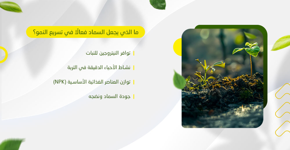 مالذي يجعل السماد فعالا في تسريع النمو؟
