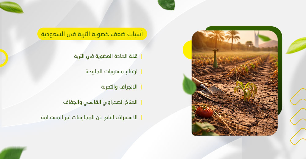  أسباب ضعف خصوبة التربة في السعودية