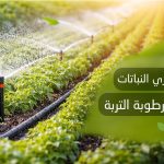 أفضل طرق ري النباتات للحفاظ على رطوبة التربة