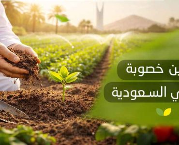تحسين خصوبة التربة في السعودية