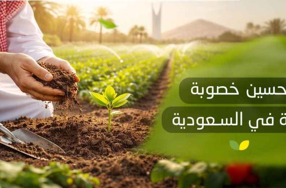 تحسين خصوبة التربة في السعودية