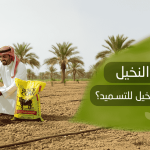تسميد النخيل ولماذا يحتاج النخيل للتسميد