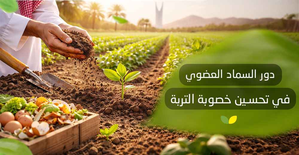 دور السماد العضوي في تحسين خصوبة التربة