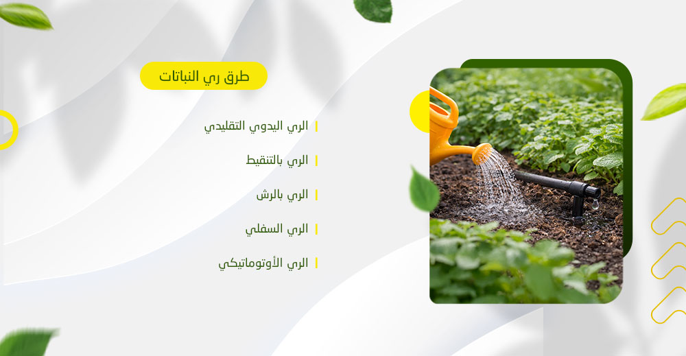 طرق ري النباتات