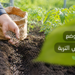 كيفية وضع السماد في التربة