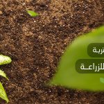 لون التربة الصالحة للزراعة