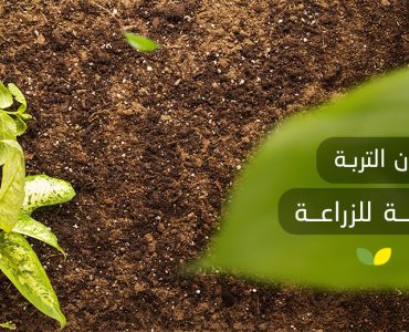 لون التربة الصالحة للزراعة