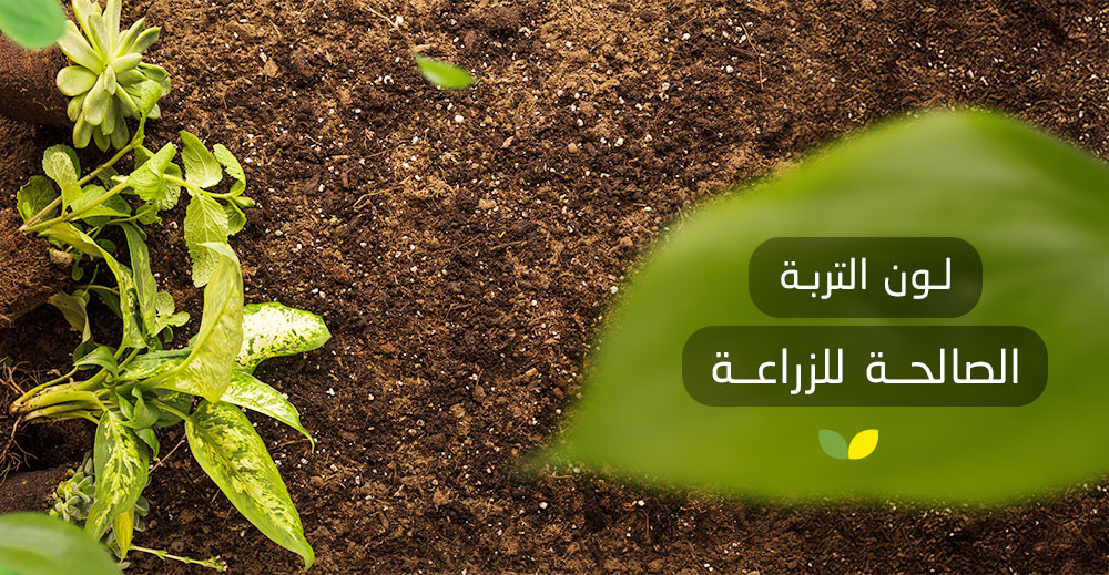 لون التربة الصالحة للزراعة