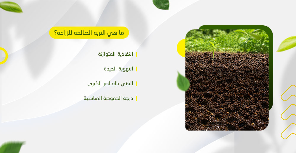 ما هي التربة الصالحة للزراعة؟