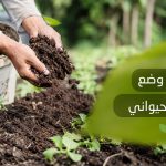 طريقة وضع السماد الحيواني