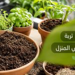 أفضل تربة للزراعة في المنزل