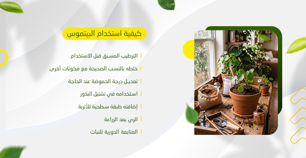 كيفية استخدام البيتموس