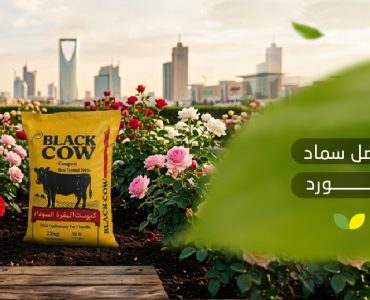 أفضل سماد للورد