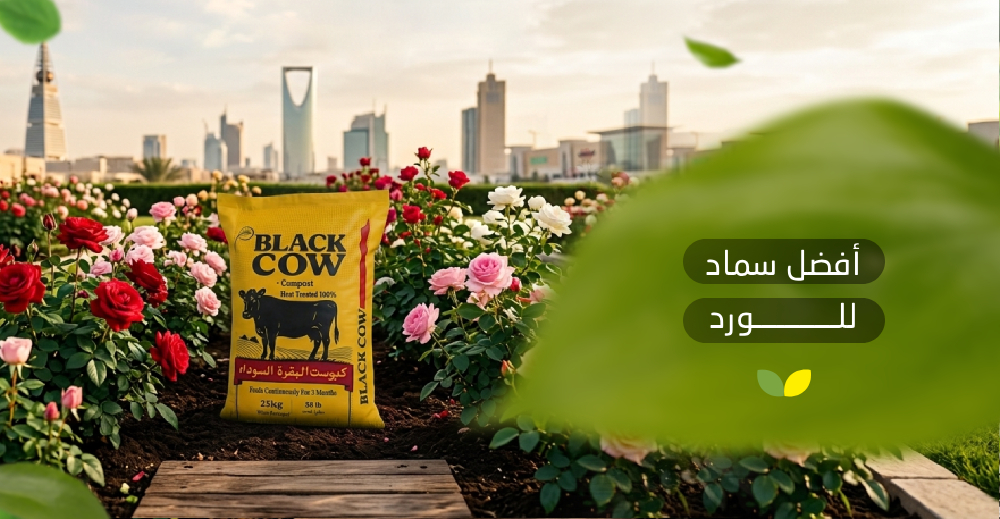 أفضل سماد للورد
